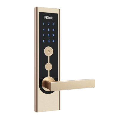 Khóa vân tay PHG Lock FP8131 Đen - Vàng